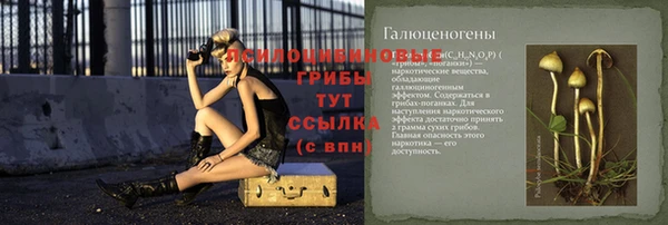 MESCALINE Белокуриха